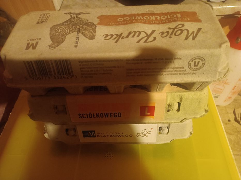 Jajka lęgowe perliczek