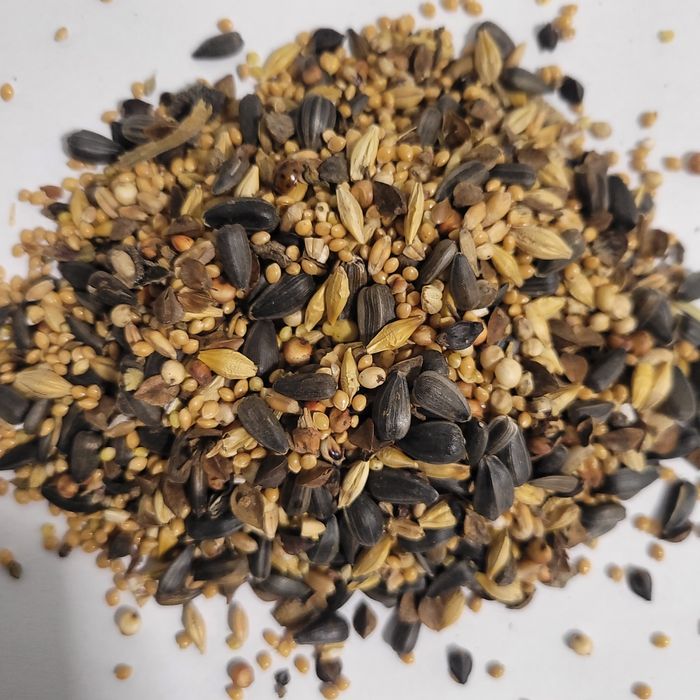 Słonecznik proso Sorgo 25kg mieszanka dla dzikich ptaków