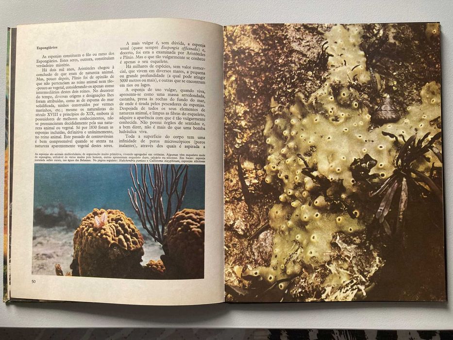 Enciclopédia do Reino Animal, de Maurice Burton