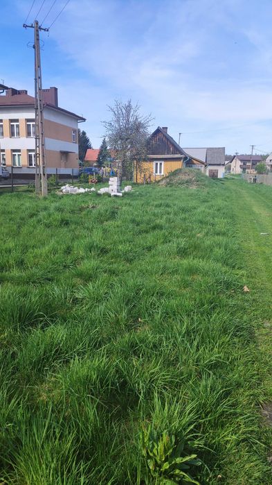 Dom z działką 19 arów