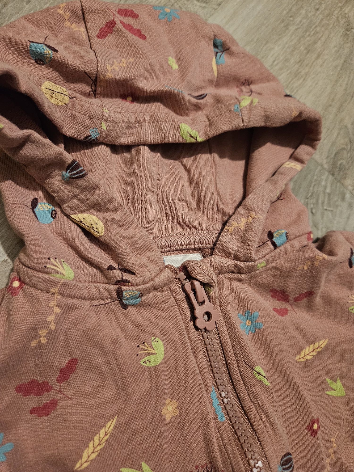 Dziewczęca bluza Fox & Bunny Sinsay. Rozmiar 74