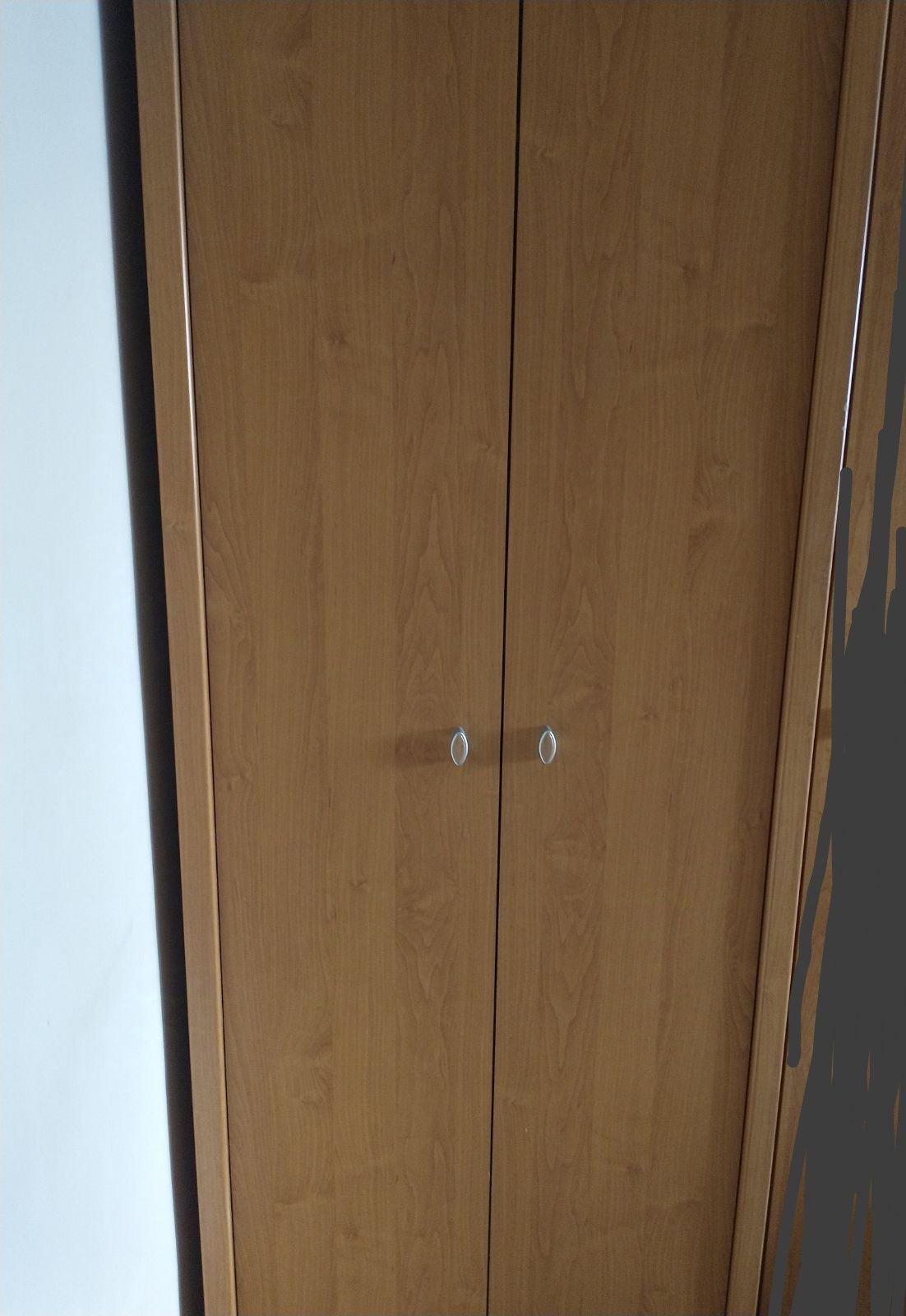 Zamykana szafa z drążkiem i półką