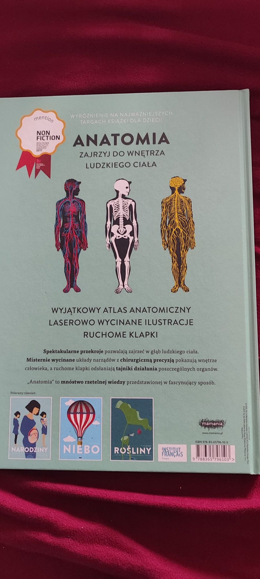 Anatomia.Druvert obrazy ludzkiego ciała na ażurowych rycinach nowa