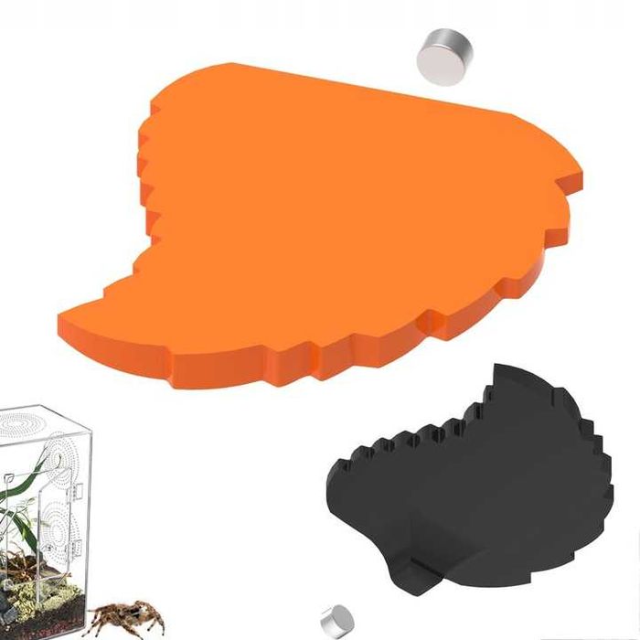 Magnetyczna półka dla skakunów pająki modliszki Liść  TerraZaplecze