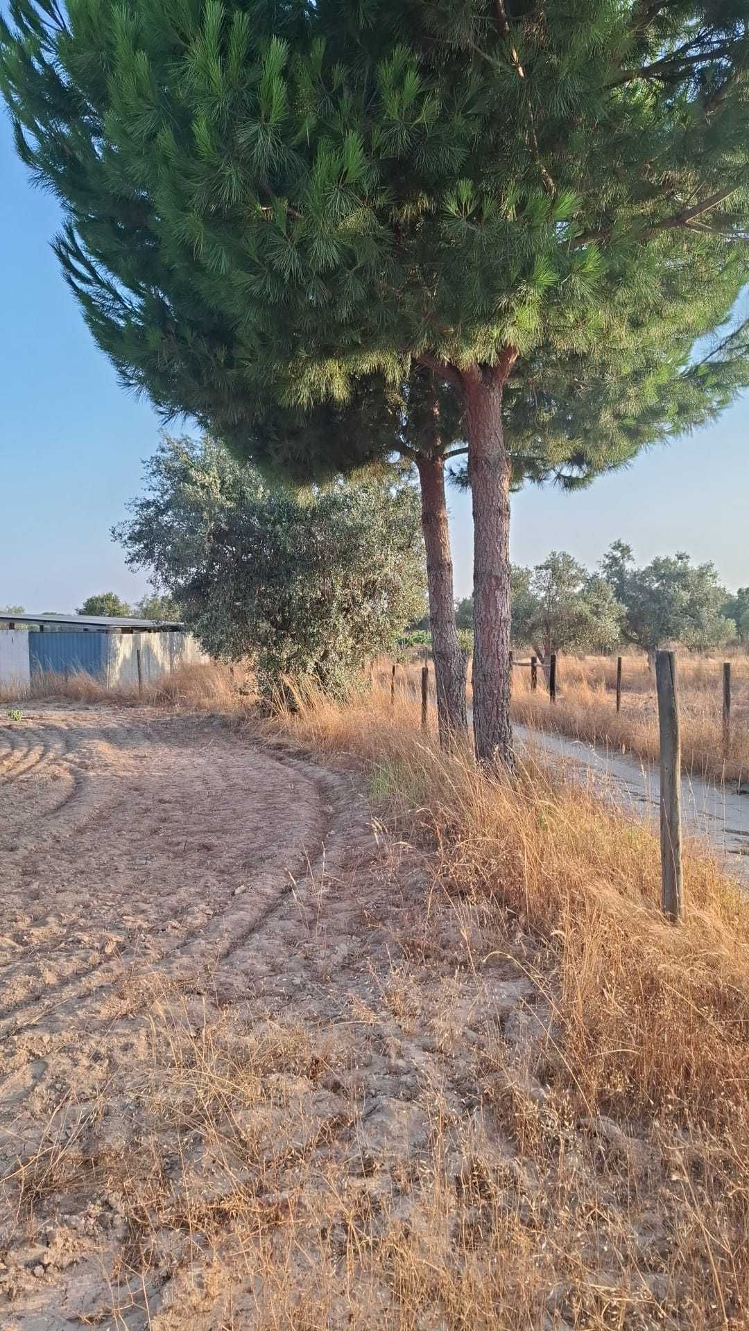 Terreno Agrícola