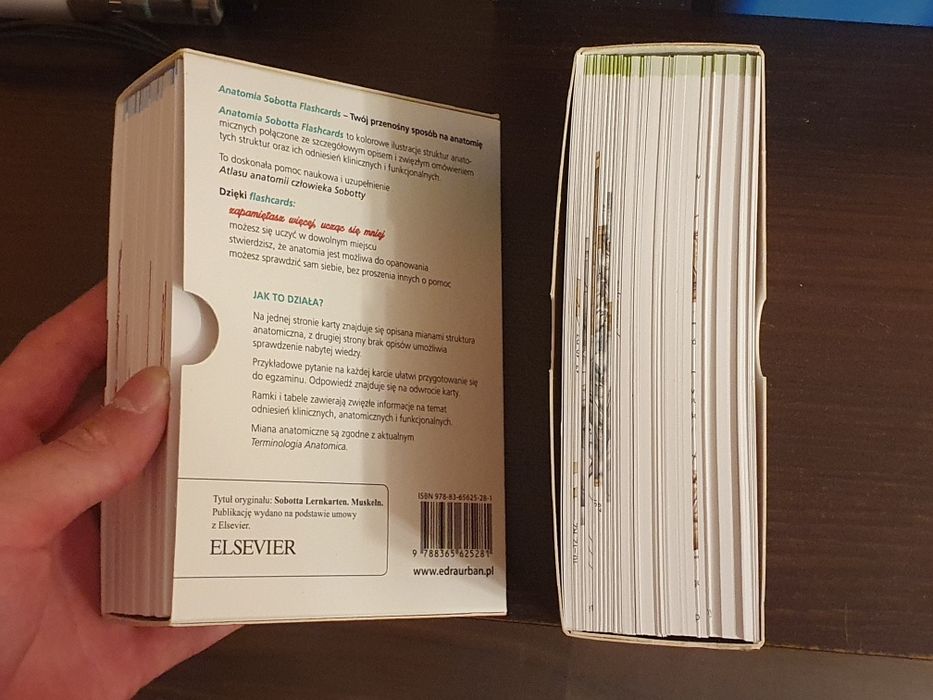 Anatomia Sobotta Flashcards Kości + Mięśnie polskie mianownictwo