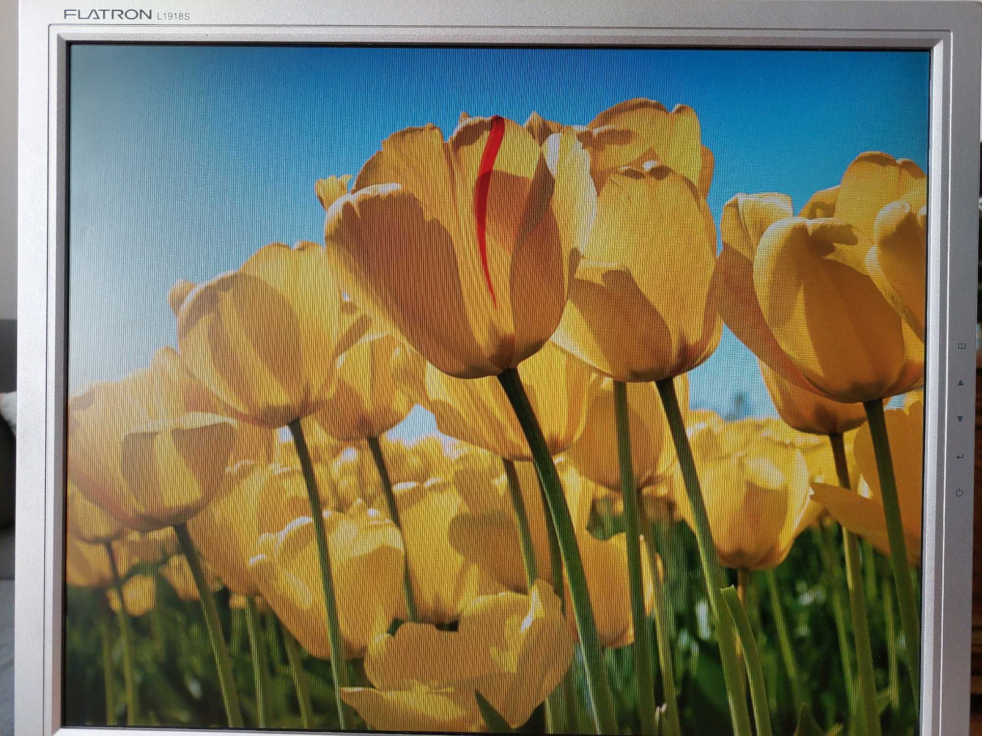 Monitor LCD 19 cali LG