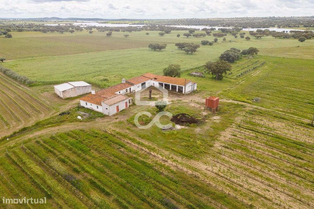 Herdade de 25,9 ha com Moradia de 475 m2 |  Corval (Reguengos de Monsa