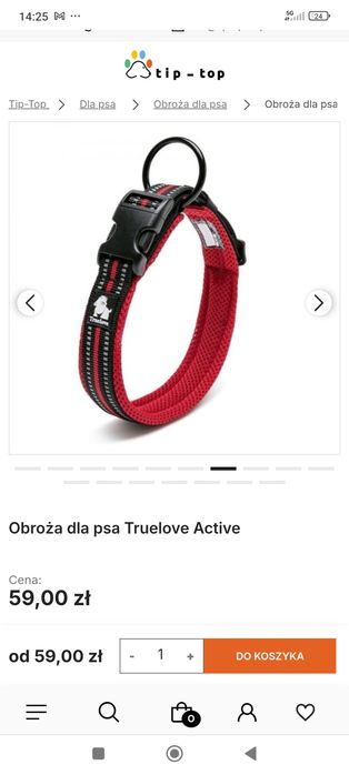 Obroża i smycz Truelove