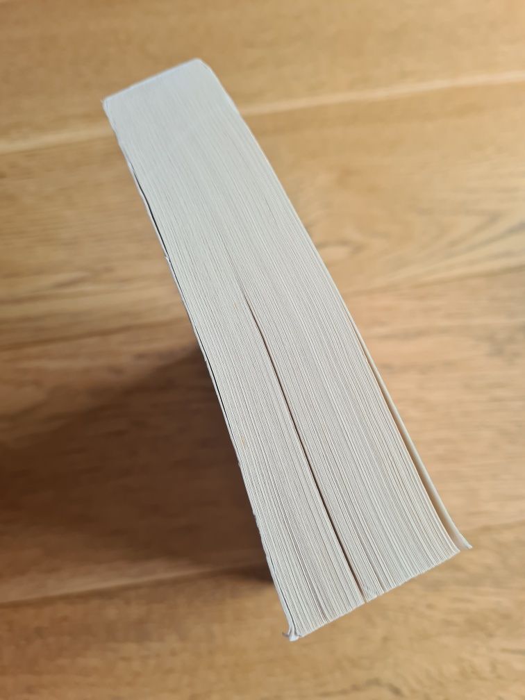 Gra o władzę Danielle Steel
