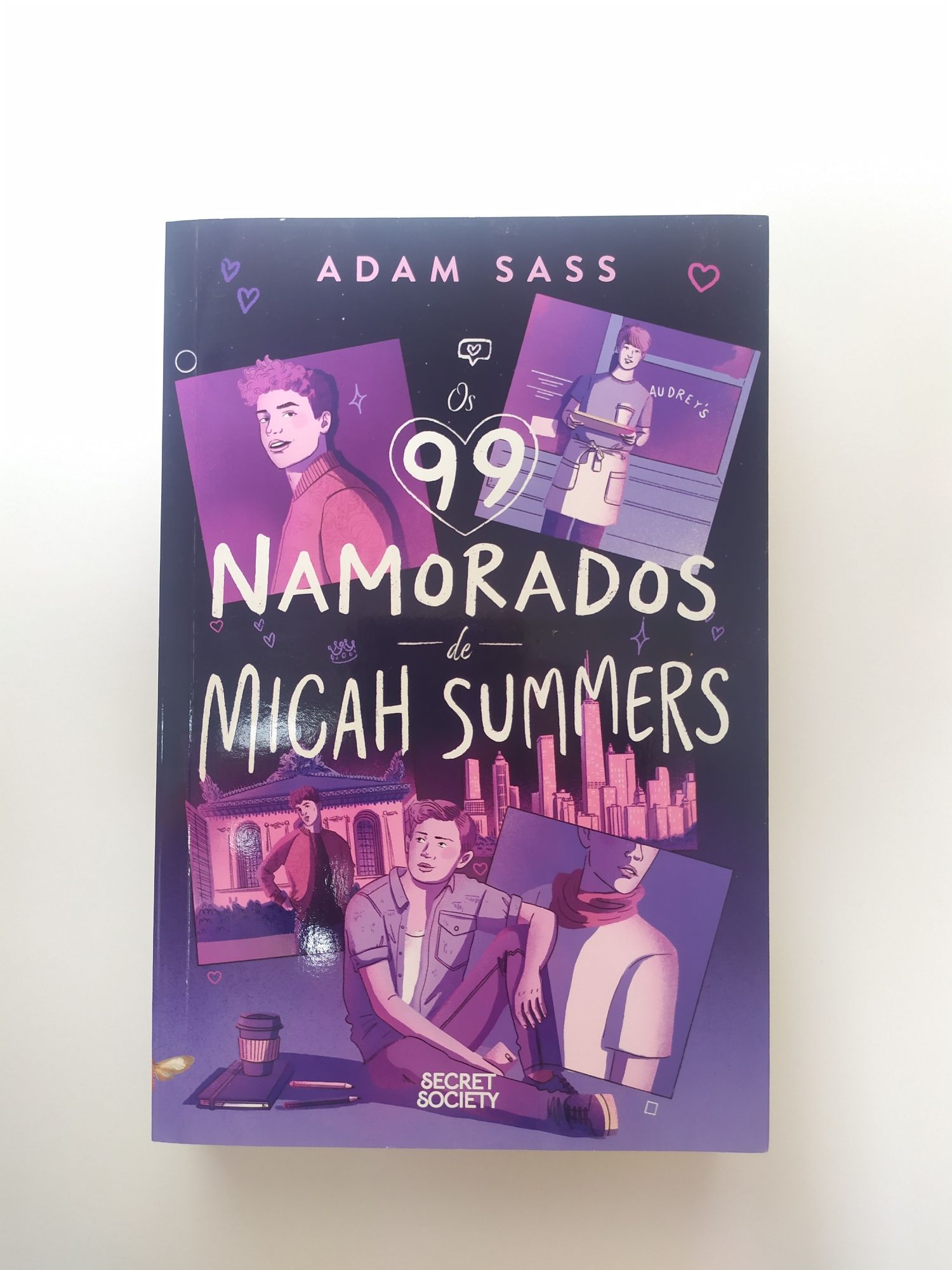 Os 99 namorados de Micah Summers- Adam Sass