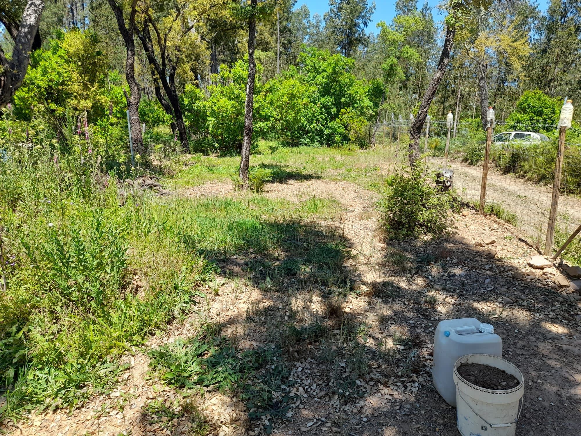 Terreno rustico vedado