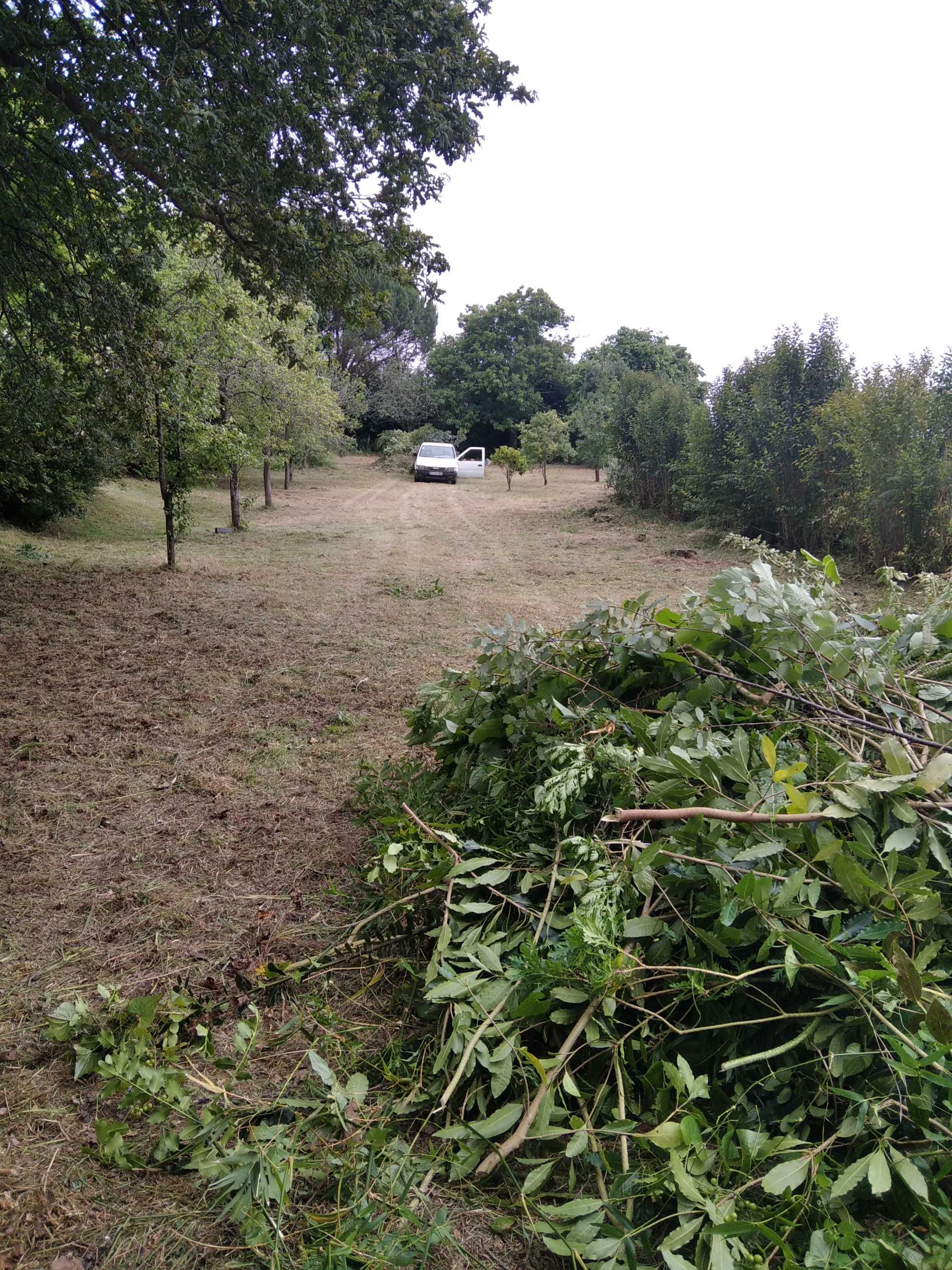 Manuntenção de jardins/ limpeza de terrenos