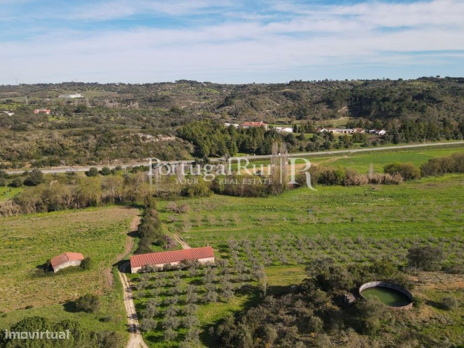 Quinta / Olival com 9,5 hectares em Torres Novas