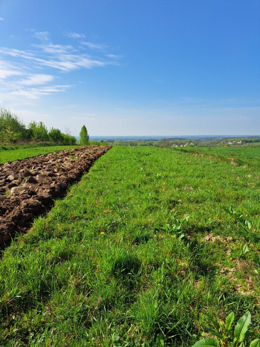 Działka z zabudowaniami Sadków gm. Łagów 320 m n.p.m.