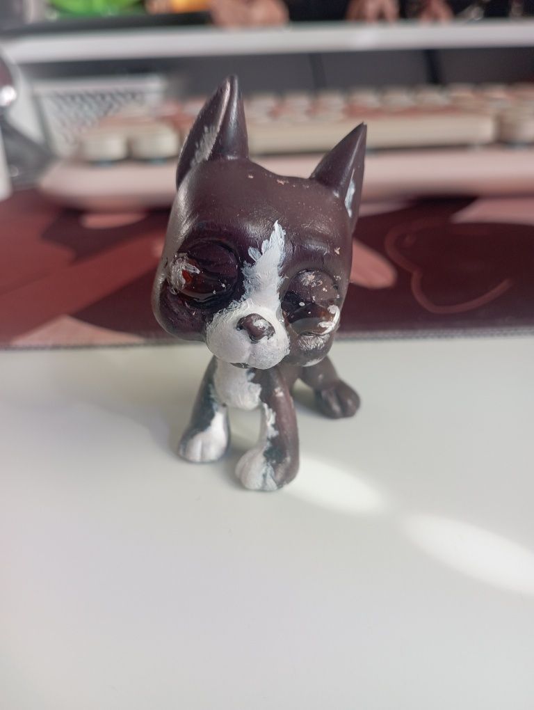 Littlest pet shop - Custom