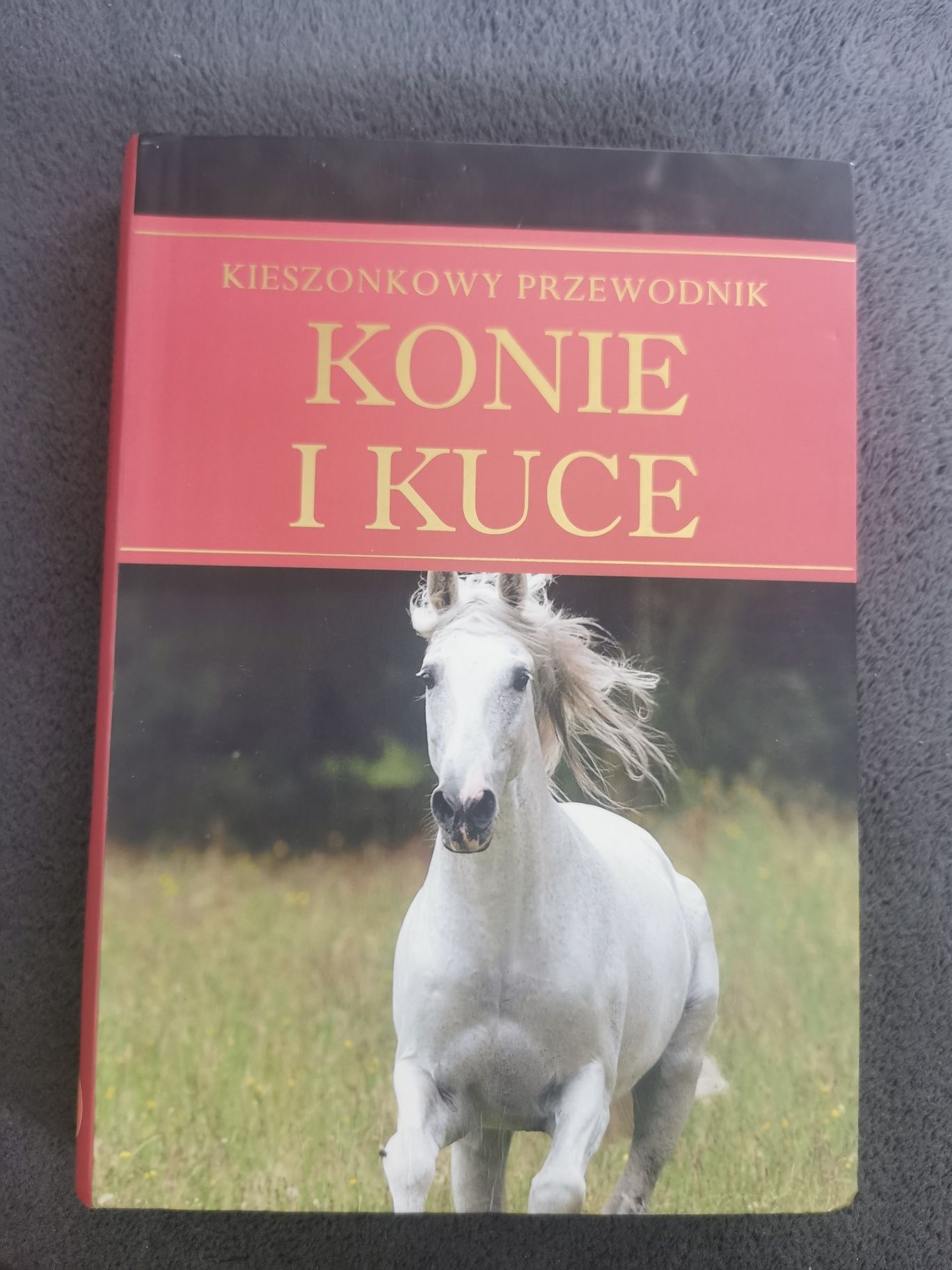 Konie i kuce. Kieszonkowy przewodnik