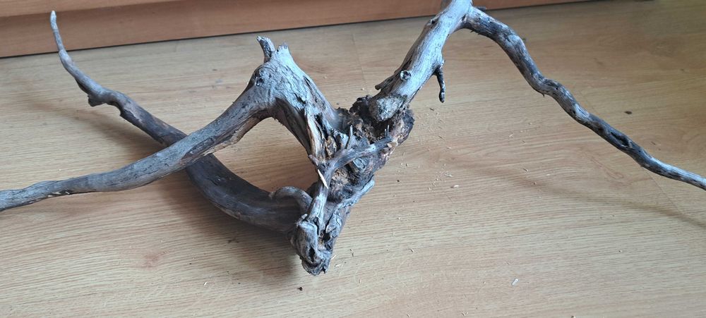 Korzeń do akwarium - terrarium