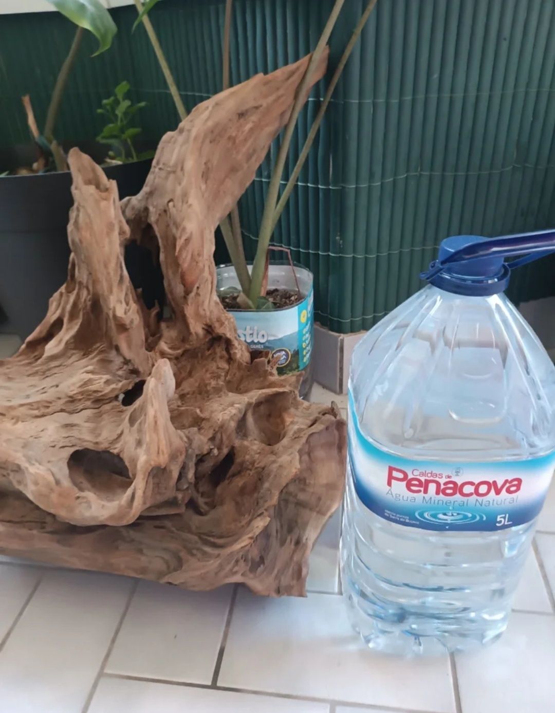 Tronco de aquário