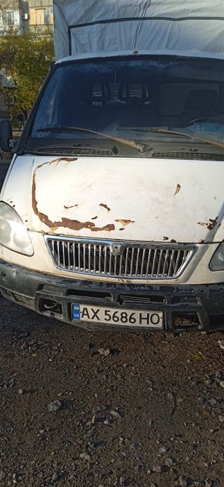 Газель на хаду ...