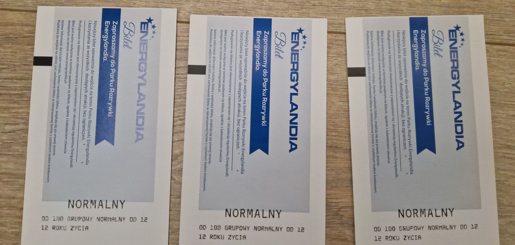 Bilety Energylandia 3+1