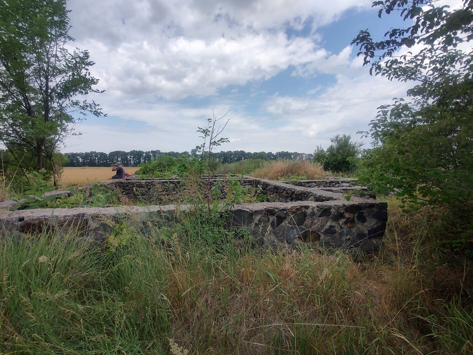 Ділянка  0.25 соток , с. Вергуни