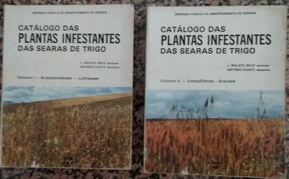 Catálogo das plantas infestantes das searas de trigo / J. Malato-Beliz