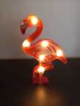 Flamingo luminoso .