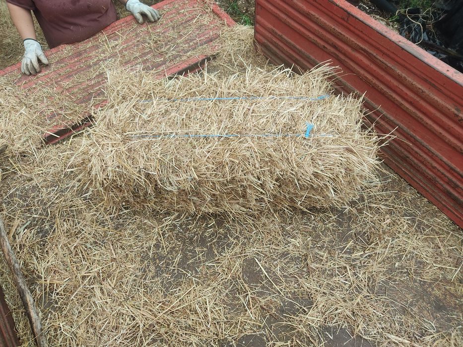 Fardos de palha pequenos