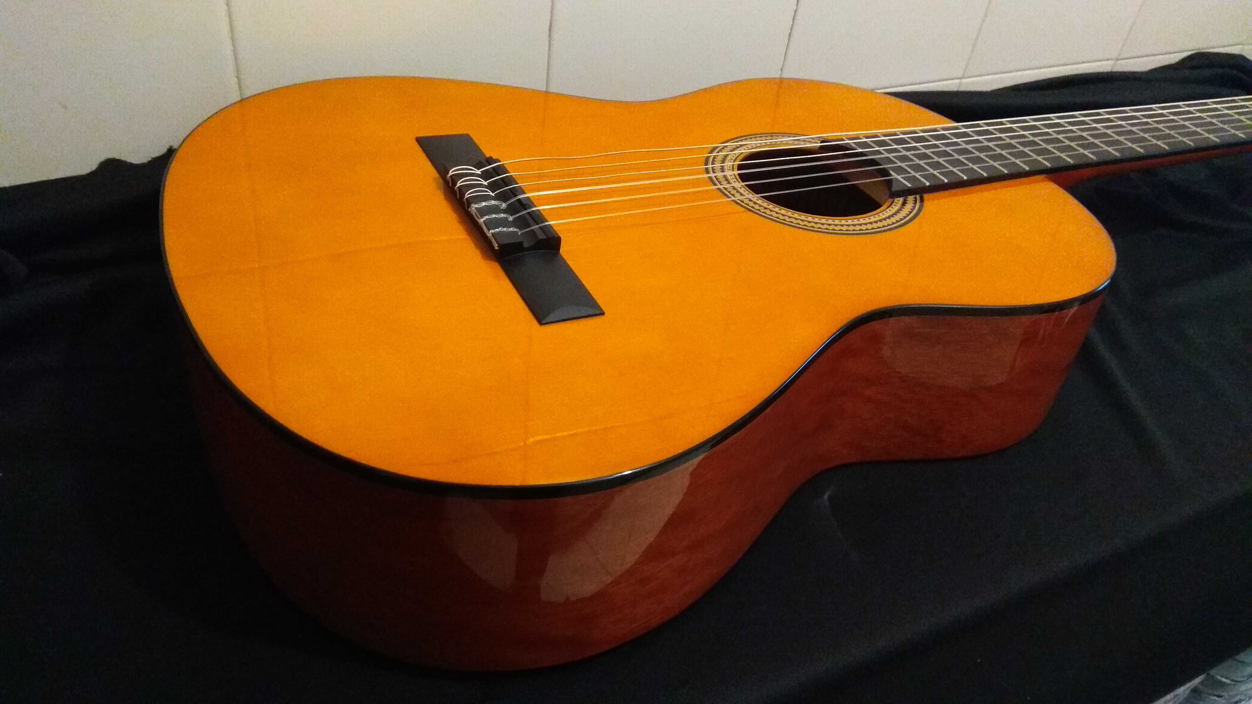 guitarra VALENCIA com trussrod