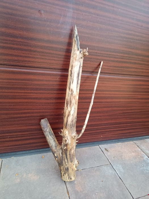 Duży, naturalny konar do akwarium