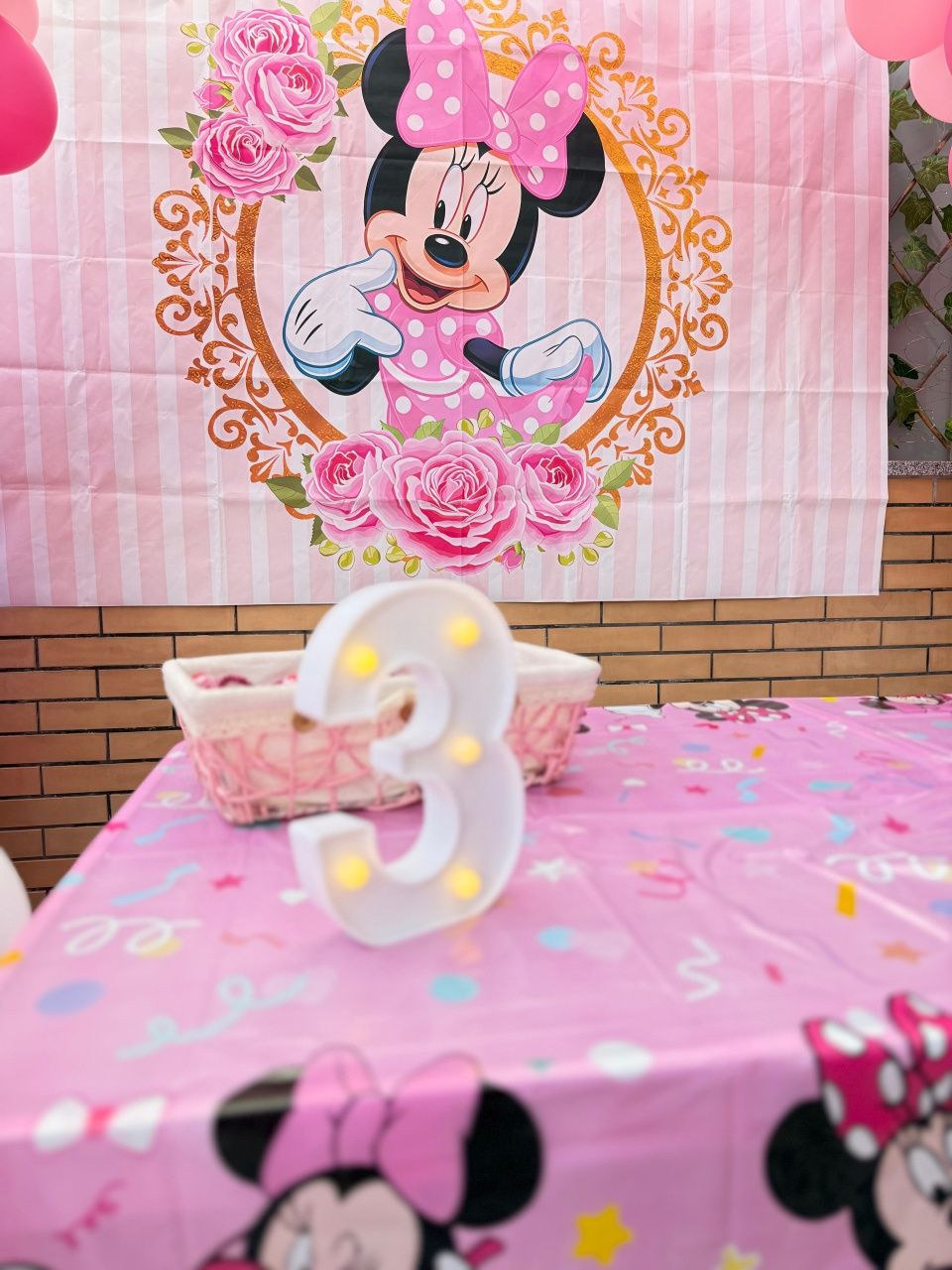 Tela, lona da minnie festa