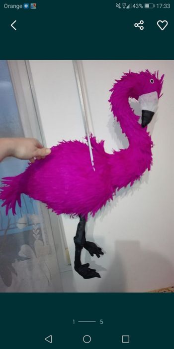 Flaming Piniata urodziny