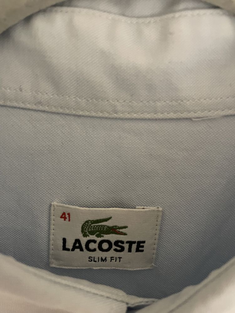 Koszula Lacoste 41