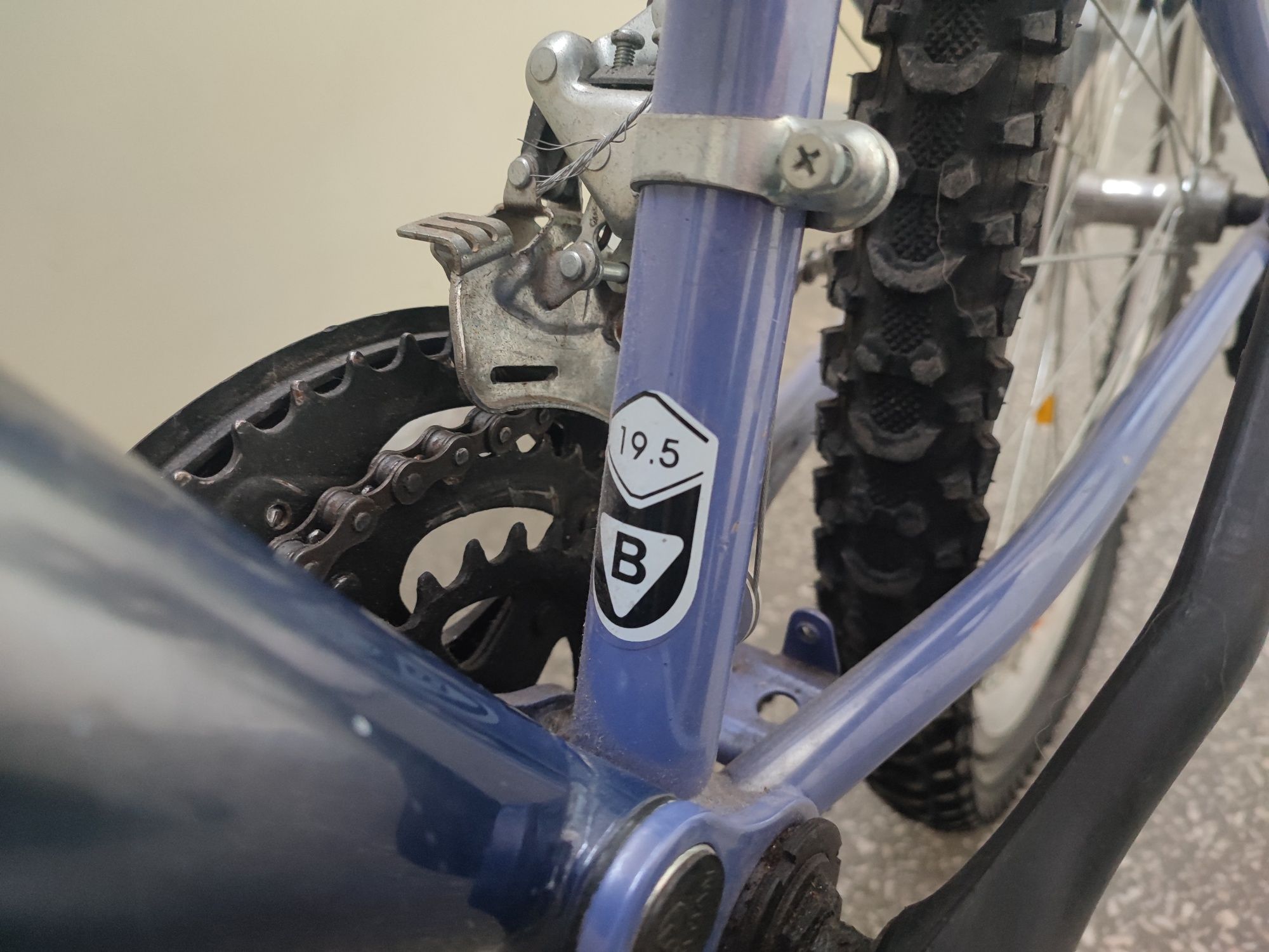 Rower Cross B250 Companion