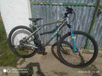 GT Timberline 1.0 Bicycle