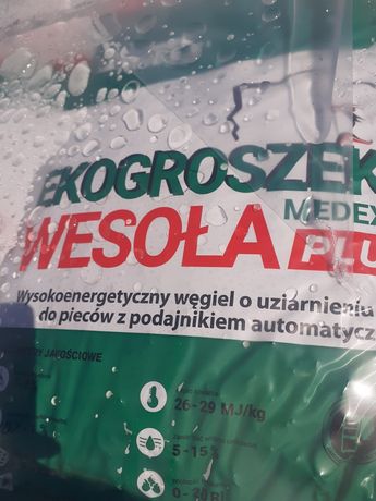 Groszek plus ,,WESOŁA,,28