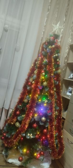 Choinka 220 cm  roczna