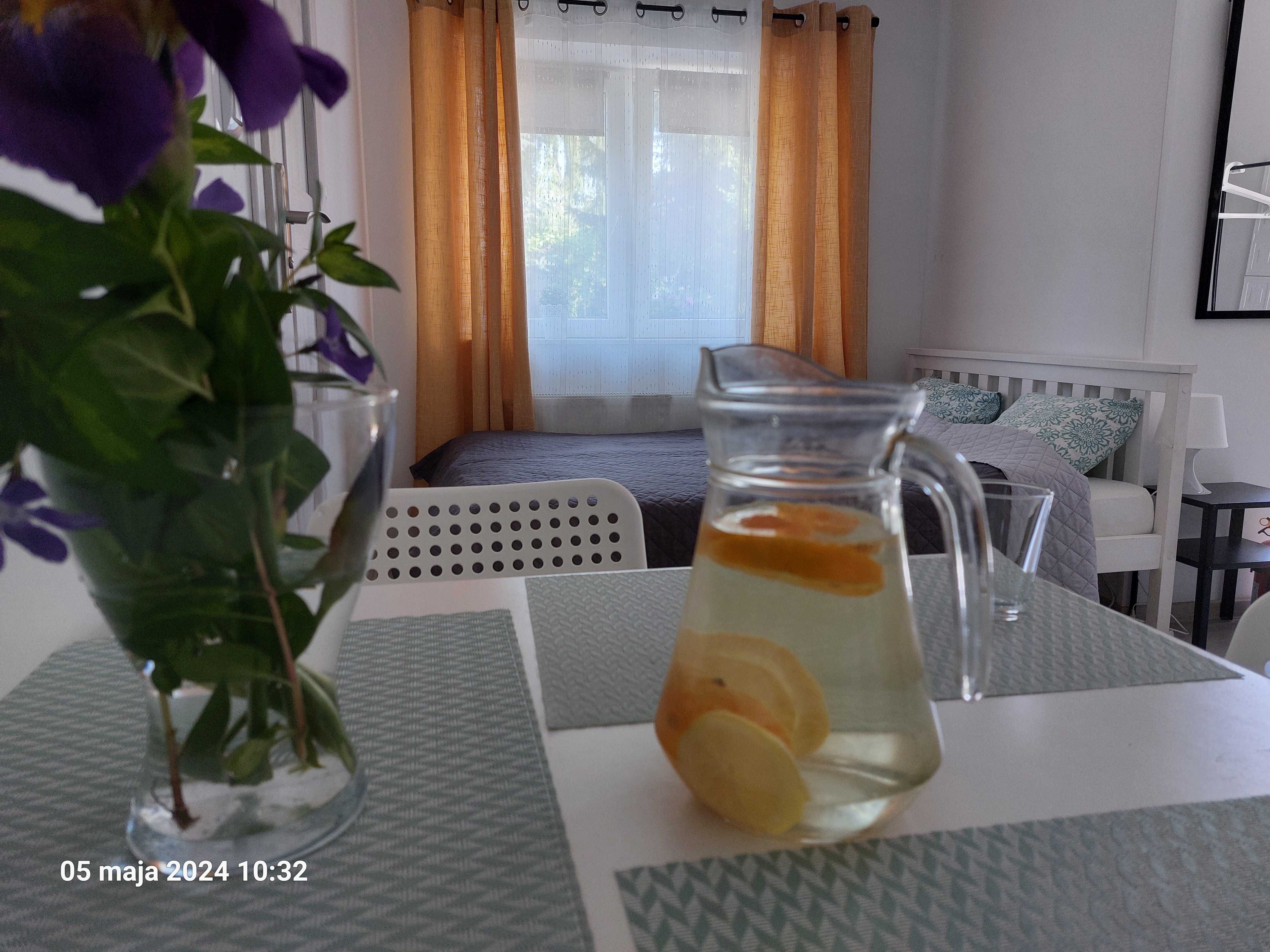 AKSAMITKA - Apartamenty noclegi  Sandomierz- aneks kuchenny, parking