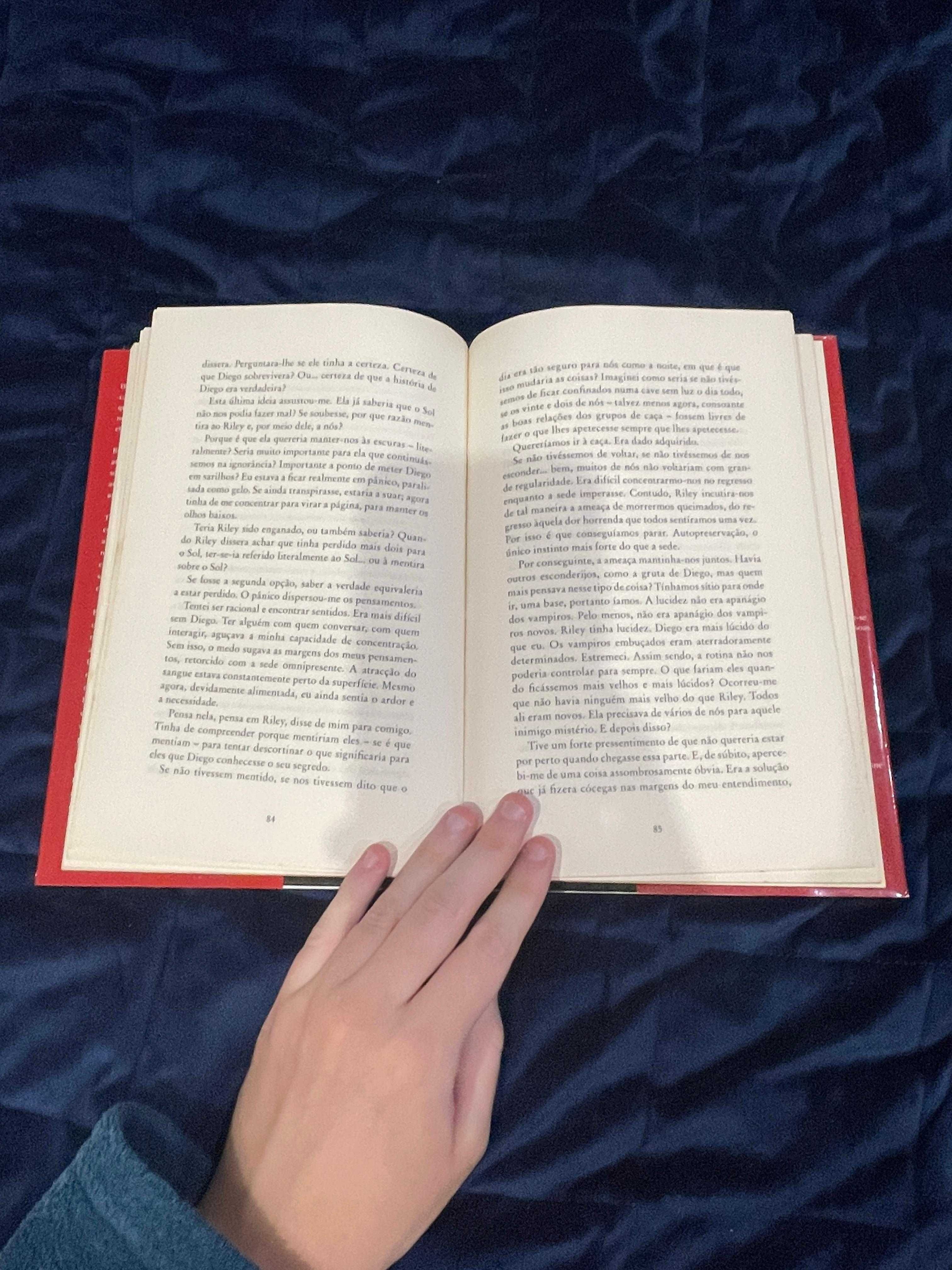 A Breve Segunda Vida de Bree Tanner – Stephenie Meyer | Usado