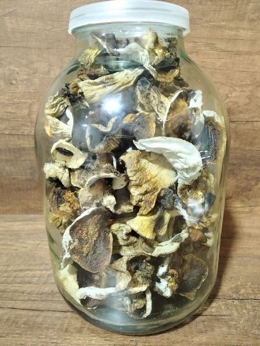 Продам білі сухі гриби.
