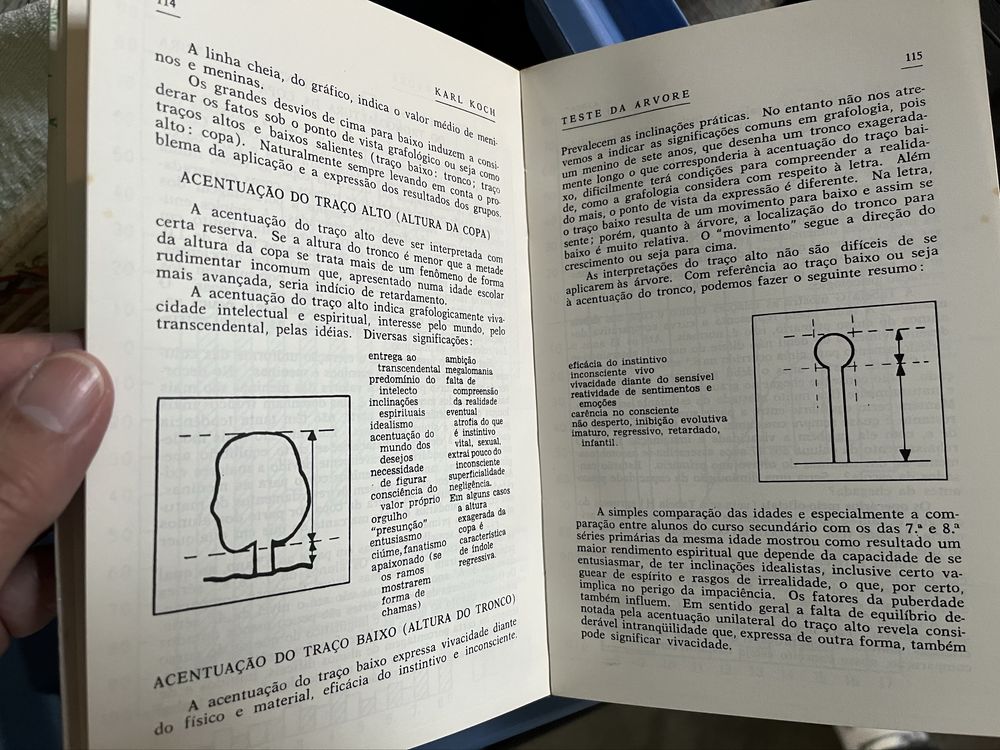 Teste da Arvore de Karl Koch