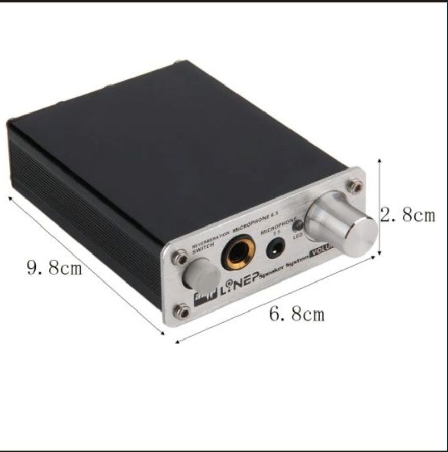 Mini wzmacniacz audio Pogłos mikrofonu Podwójne porty mikrofonowe