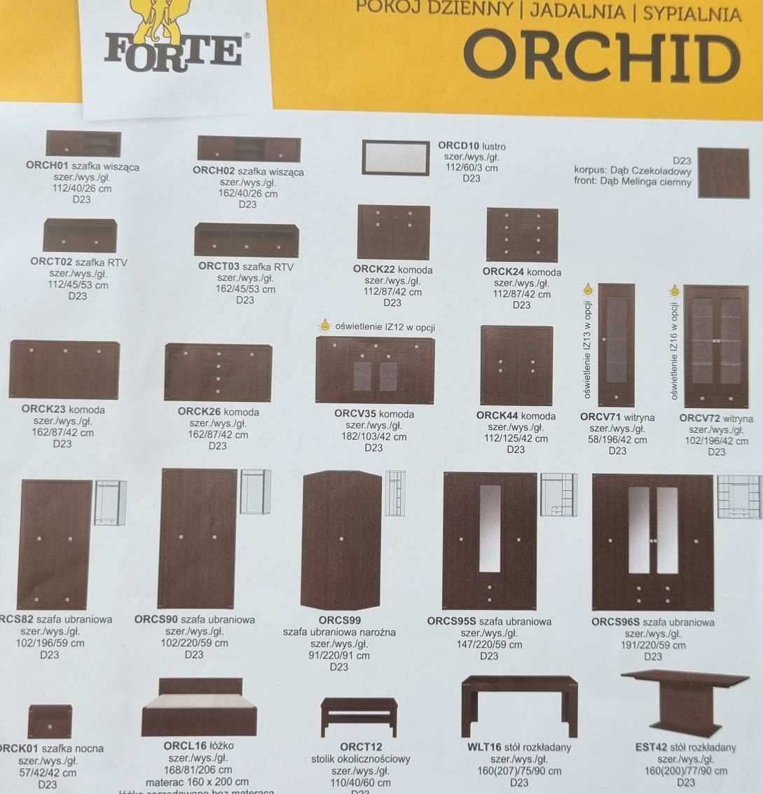 witryna Agata Meble Forte Orchid wenge

AGATA MEBLE FORTE ORCHID