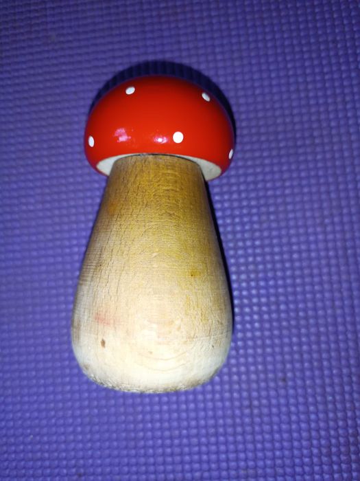 Дерев'яний гриб-горіхокол