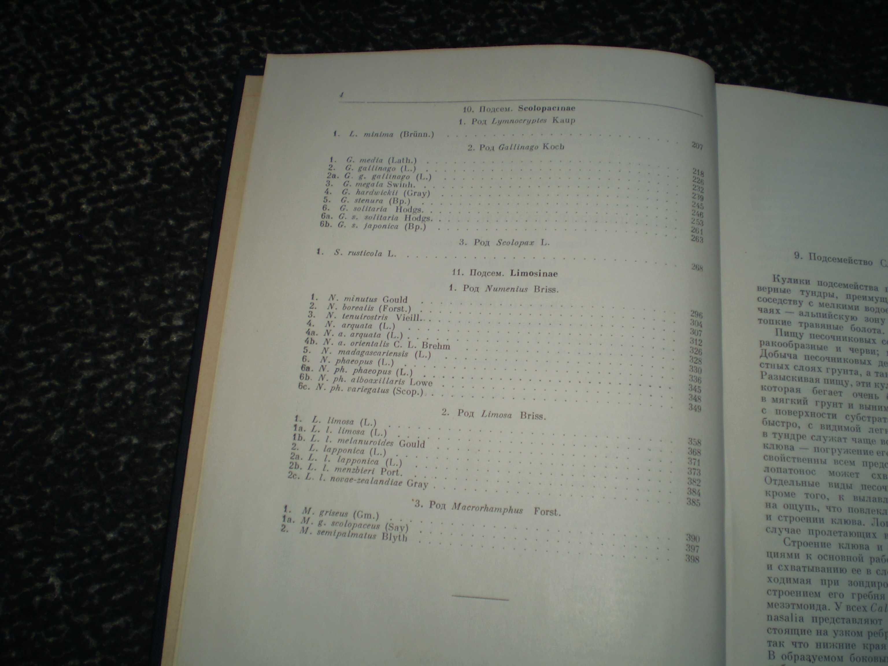 Козлова Фауна СССР. Птицы Том 2,вып 1 Ржанкообразные.Подотр.Кулики1962