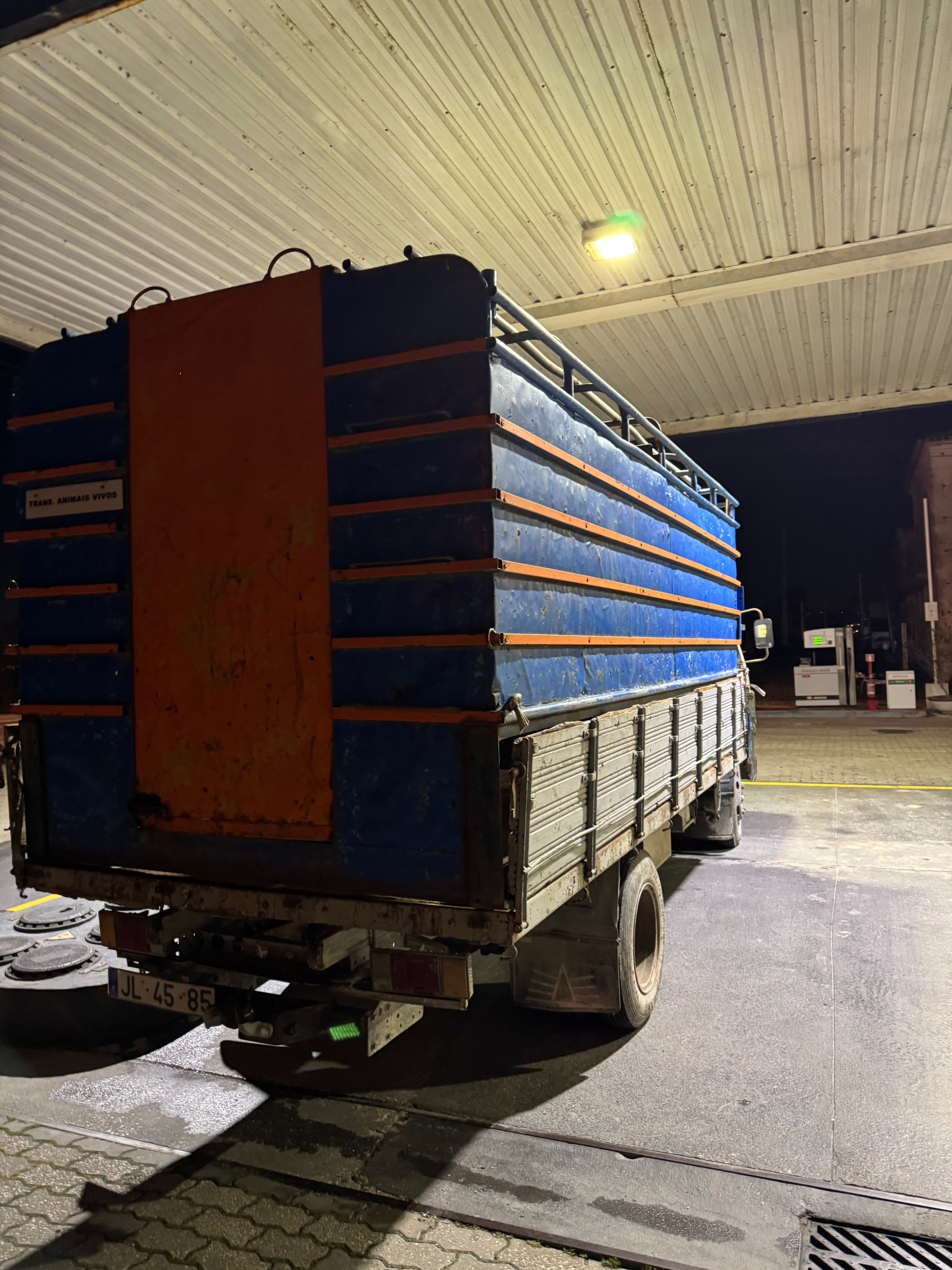 Bedford nkr 3.3 transporte de animais vivos