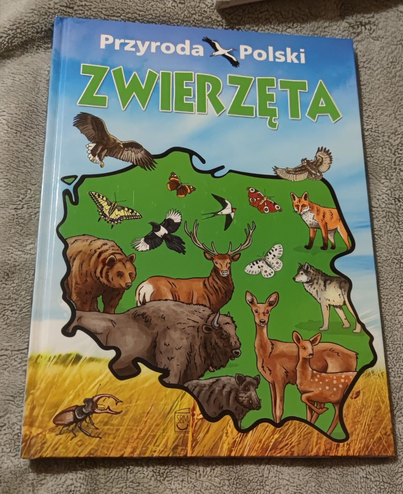 Przyroda Polski Zwierzęta i zwierzęta w lesie NOWE