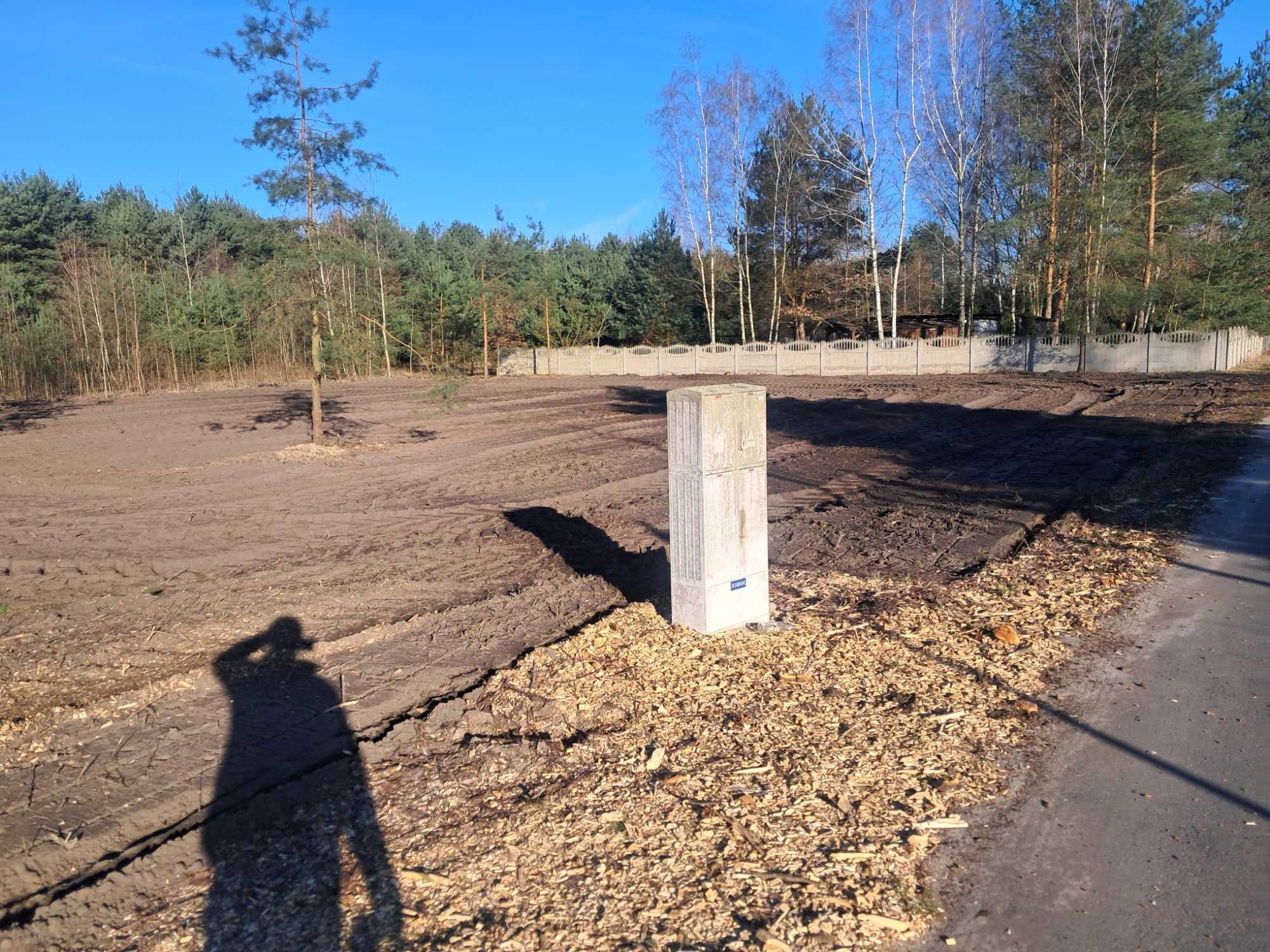 Wycinka drzew lasu wycinanie skup drewna rębak mulczer rekultywacja