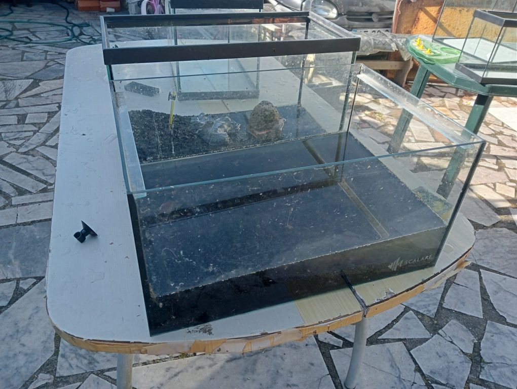 Vários aquários 25€